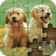 Jigsaw Puzzle